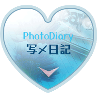 写メ日記